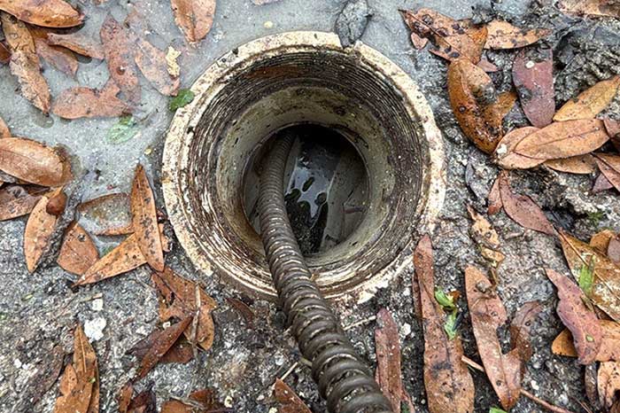 Drain Cleaning in Jacksonville by Harry Hayes Plumbing